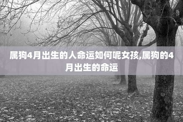 属狗4月出生的人命运如何呢女孩,属狗的4月出生的命运