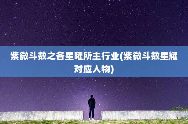 紫微斗数之各星曜所主行业(紫微斗数星耀对应人物)