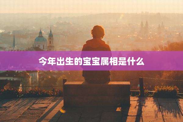 今年出生的宝宝属相是什么