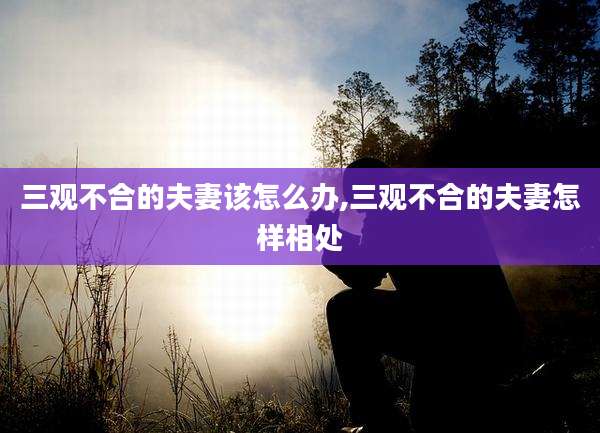 三观不合的夫妻该怎么办,三观不合的夫妻怎样相处