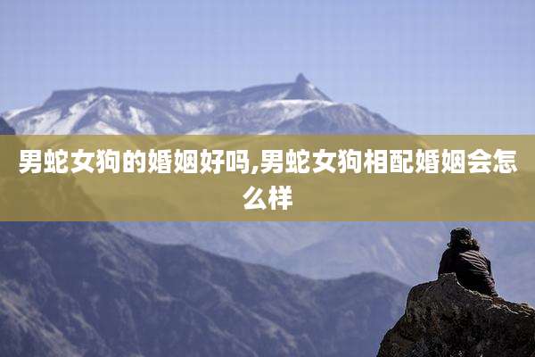 男蛇女狗的婚姻好吗,男蛇女狗相配婚姻会怎么样