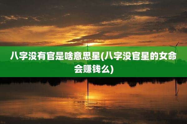 八字没有官是啥意思星(八字没官星的女命会赚钱么)