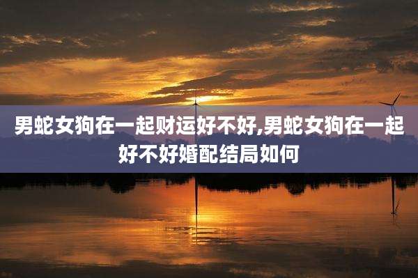 男蛇女狗在一起财运好不好,男蛇女狗在一起好不好婚配结局如何