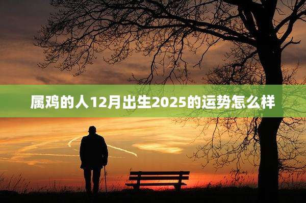 属鸡的人12月出生2025的运势怎么样
