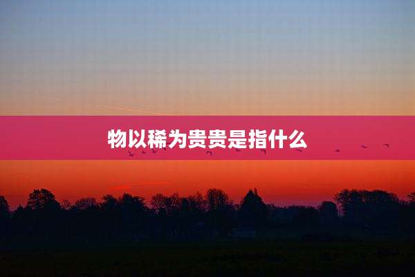 物以稀为贵贵是指什么