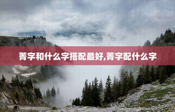 菁字和什么字搭配最好,菁字配什么字