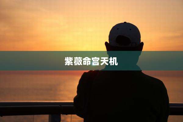 紫薇命宫天机
