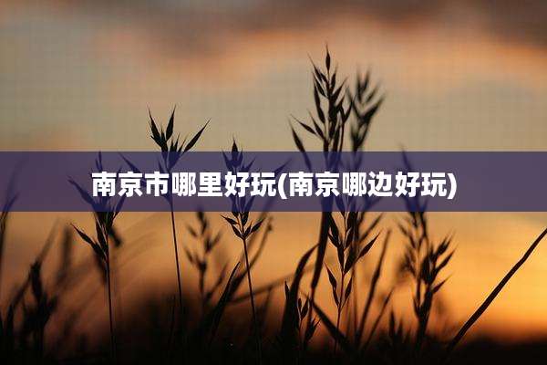 南京市哪里好玩(南京哪边好玩)