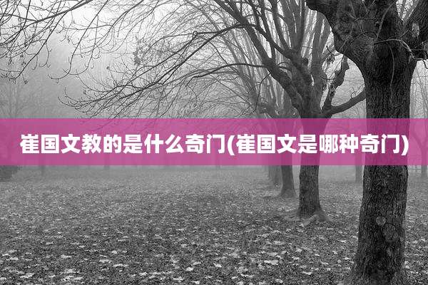 崔国文教的是什么奇门(崔国文是哪种奇门)