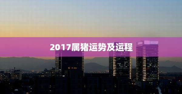 2017属猪运势及运程