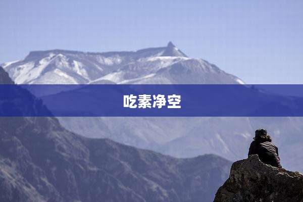 吃素净空