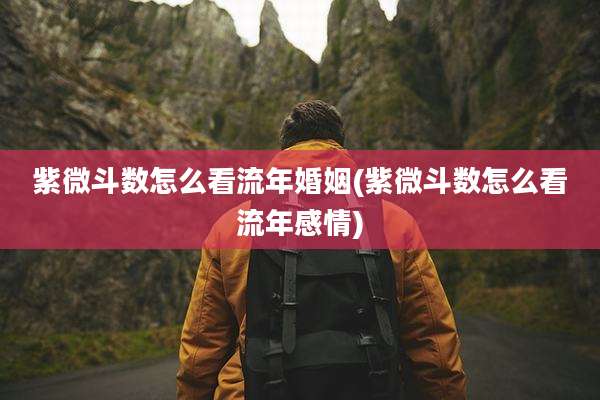 紫微斗数怎么看流年婚姻(紫微斗数怎么看流年感情)