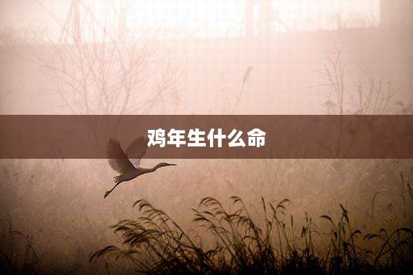 鸡年生什么命