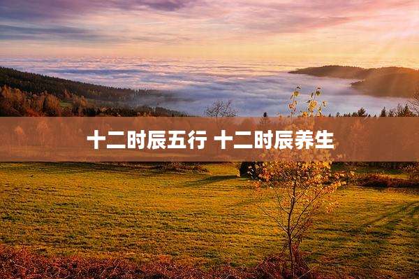 十二时辰五行 十二时辰养生