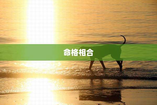 命格相合