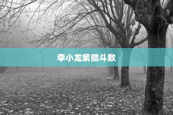 李小龙紫微斗数
