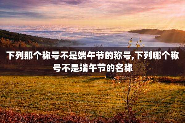 下列那个称号不是端午节的称号,下列哪个称号不是端午节的名称
