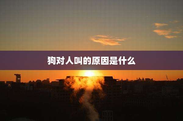 狗对人叫的原因是什么