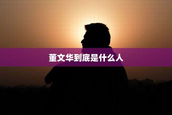 董文华到底是什么人