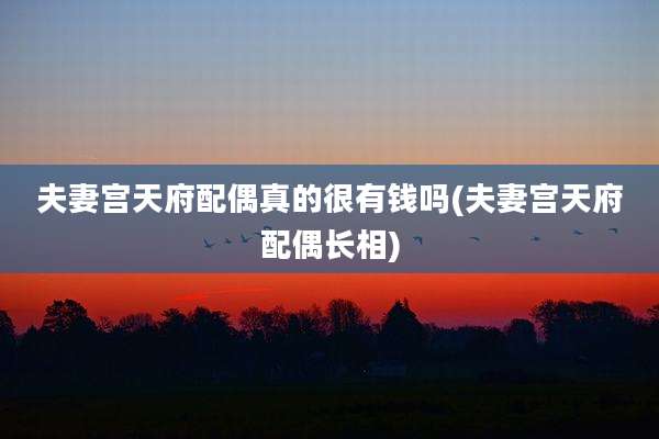 夫妻宫天府配偶真的很有钱吗(夫妻宫天府配偶长相)