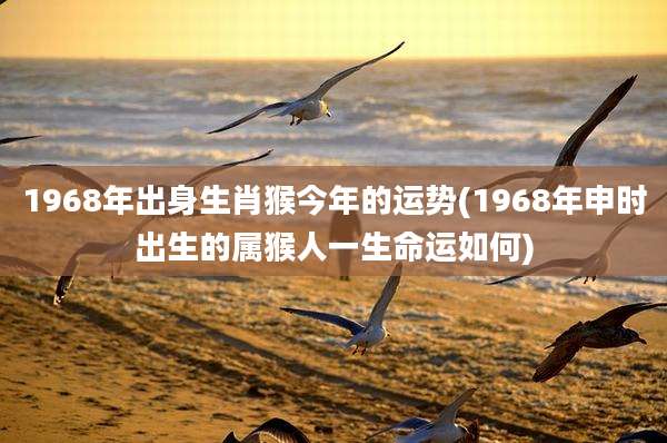 1968年出身生肖猴今年的运势(1968年申时出生的属猴人一生命运如何)