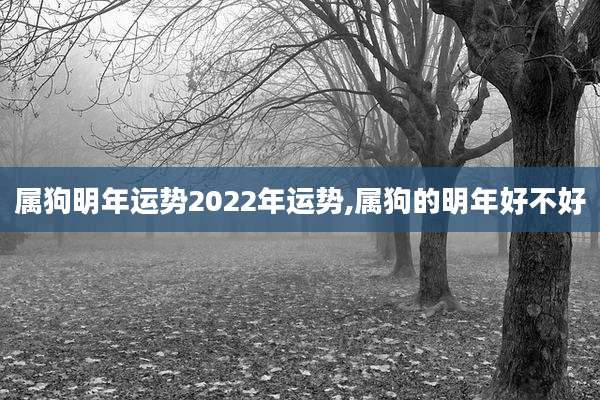 属狗明年运势2022年运势,属狗的明年好不好
