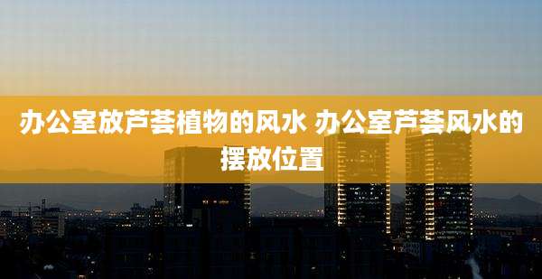 办公室放芦荟植物的风水 办公室芦荟风水的摆放位置