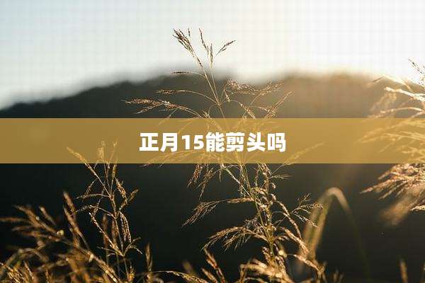 正月15能剪头吗