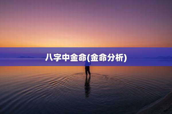 八字中金命(金命分析)