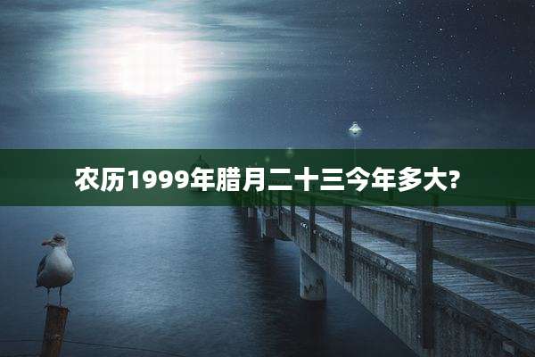 农历1999年腊月二十三今年多大?