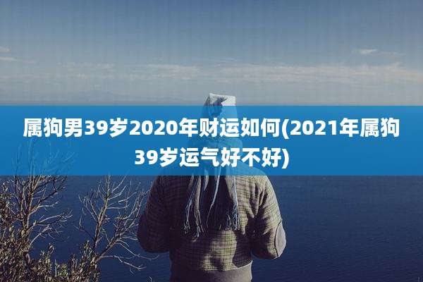 属狗男39岁2020年财运如何(2021年属狗39岁运气好不好)