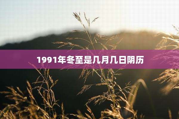 1991年冬至是几月几日阴历