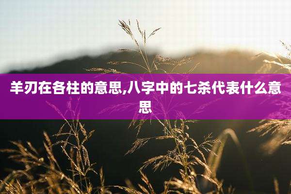 羊刃在各柱的意思,八字中的七杀代表什么意思