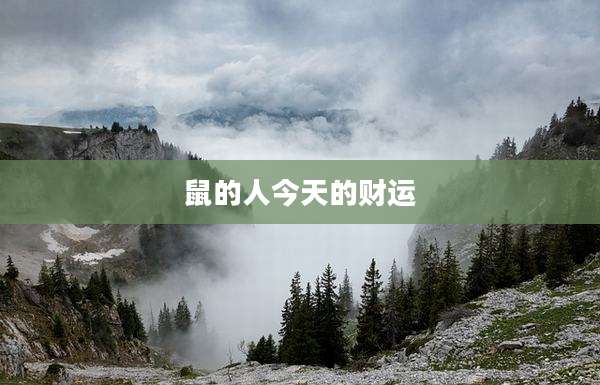 鼠的人今天的财运