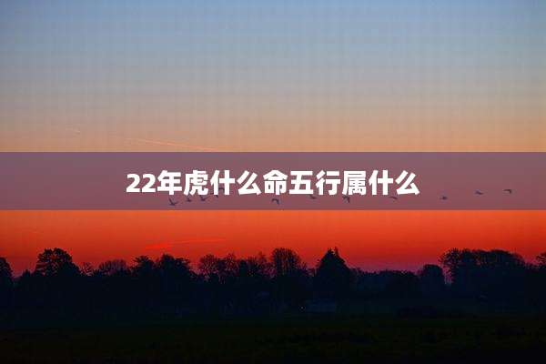 22年虎什么命五行属什么
