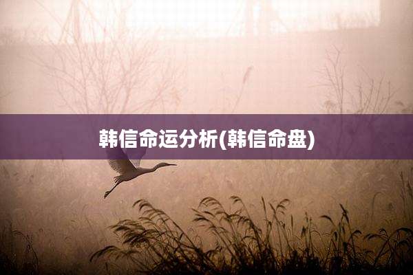 韩信命运分析(韩信命盘)