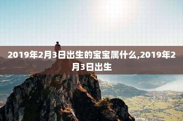 2019年2月3日出生的宝宝属什么,2019年2月3日出生