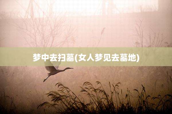 梦中去扫墓(女人梦见去墓地)