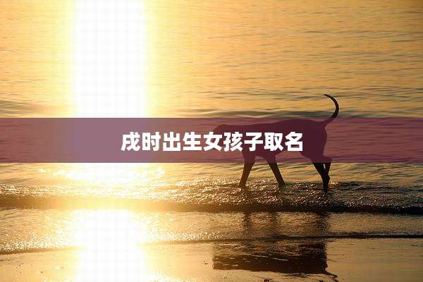 戌时出生女孩子取名