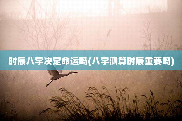 时辰八字决定命运吗(八字测算时辰重要吗)