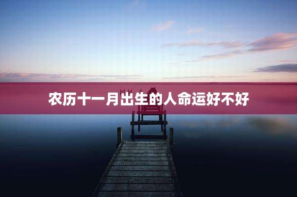 农历十一月出生的人命运好不好