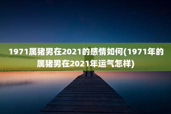 1971属猪男在2021的感情如何(1971年的属猪男在2021年运气怎样)