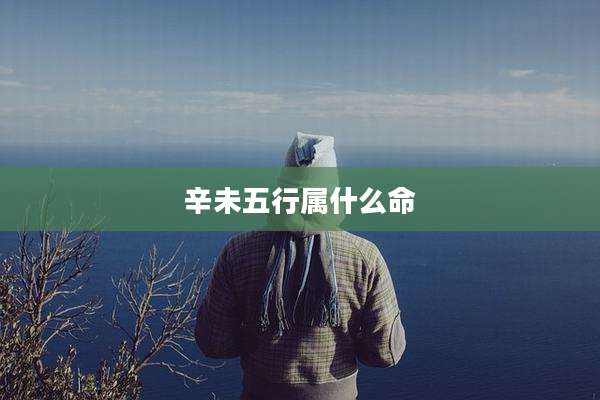 辛未五行属什么命