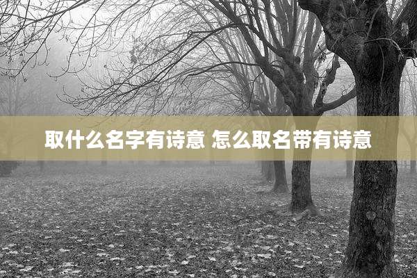 取什么名字有诗意 怎么取名带有诗意