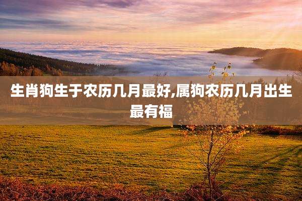 生肖狗生于农历几月最好,属狗农历几月出生最有福