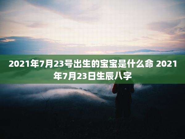 2021年7月23号出生的宝宝是什么命 2021年7月23日生辰八字