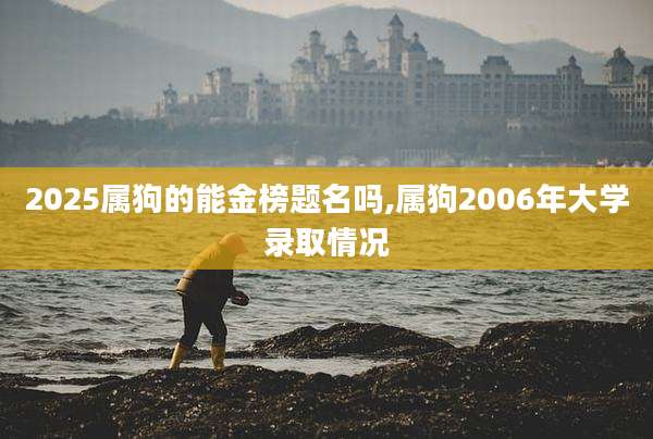2025属狗的能金榜题名吗,属狗2006年大学录取情况