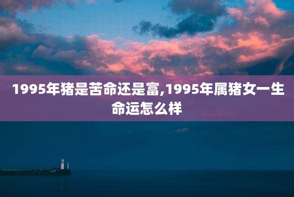 1995年猪是苦命还是富,1995年属猪女一生命运怎么样