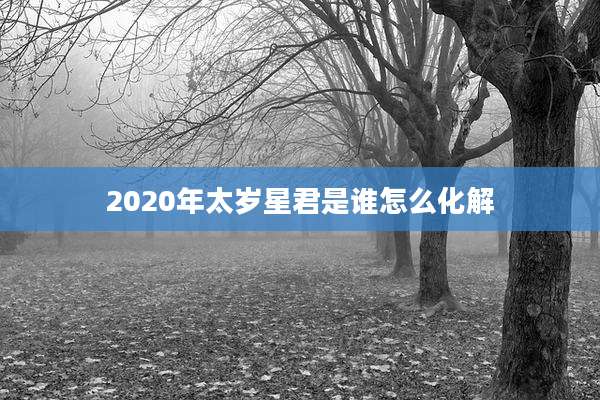2020年太岁星君是谁怎么化解