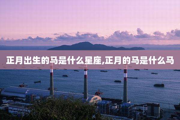 正月出生的马是什么星座,正月的马是什么马